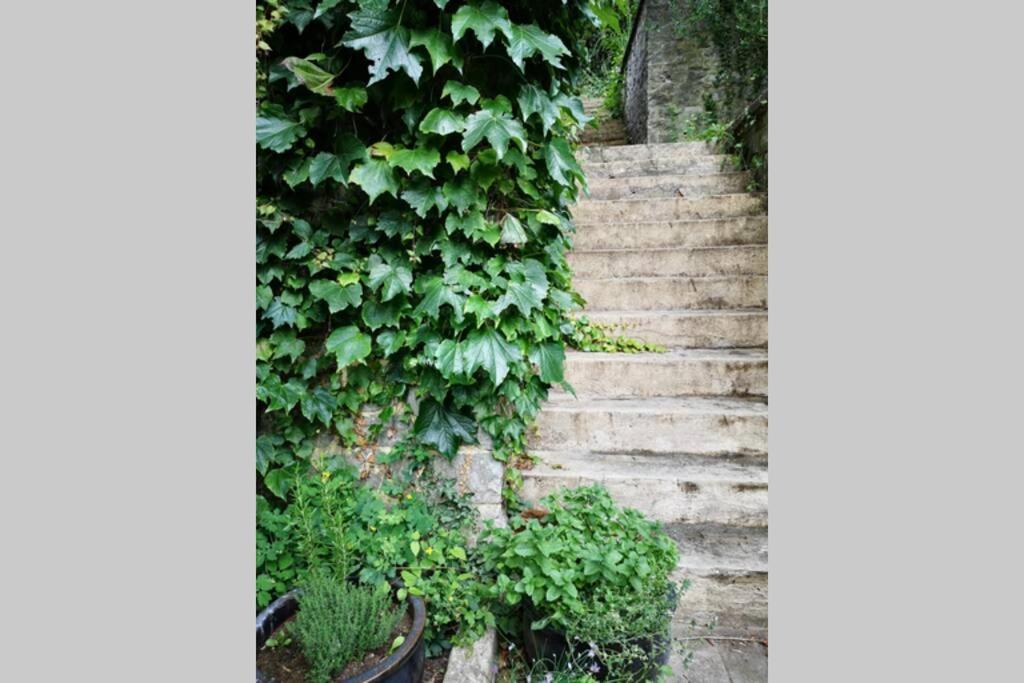 Appartement La Belle Vigne à Namur Extérieur photo