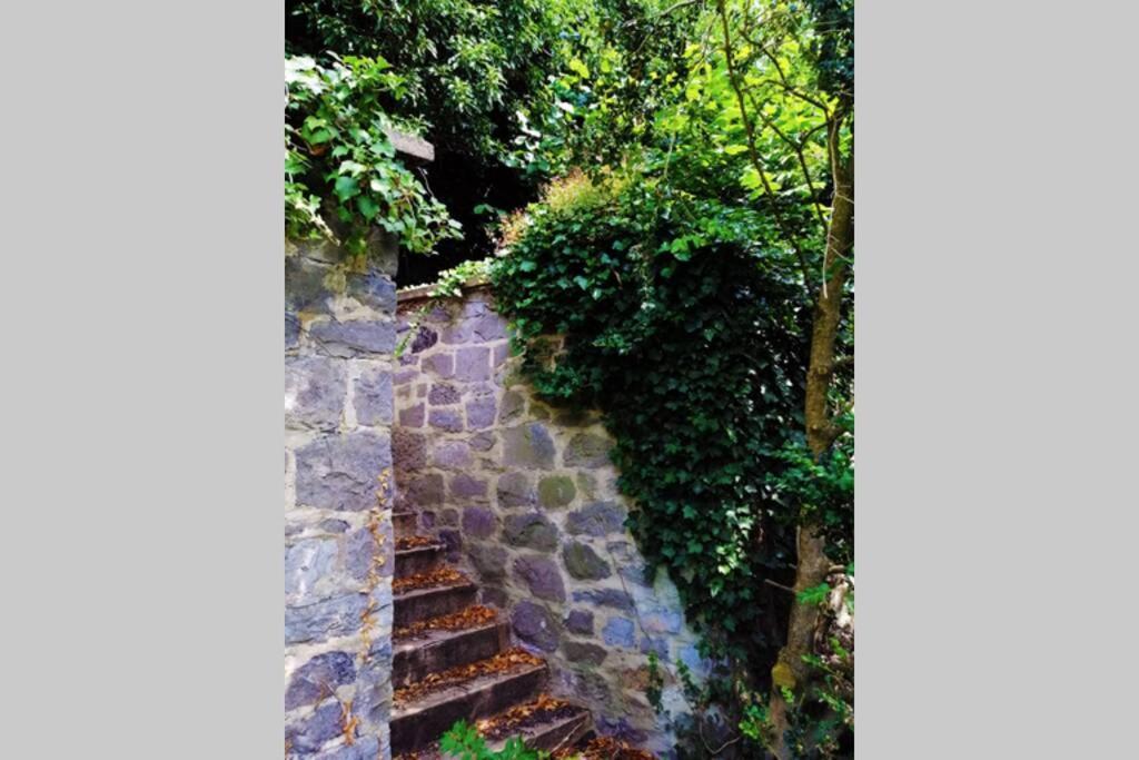 Appartement La Belle Vigne à Namur Extérieur photo